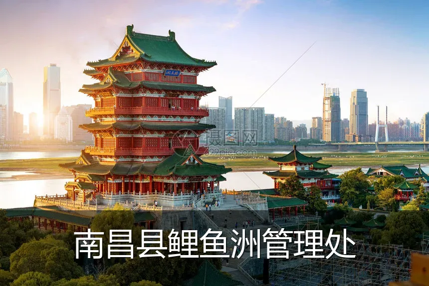 南昌县鲤鱼洲管理处